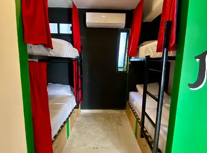 Why Not Rooftop Party Hostal Playa del Carmen