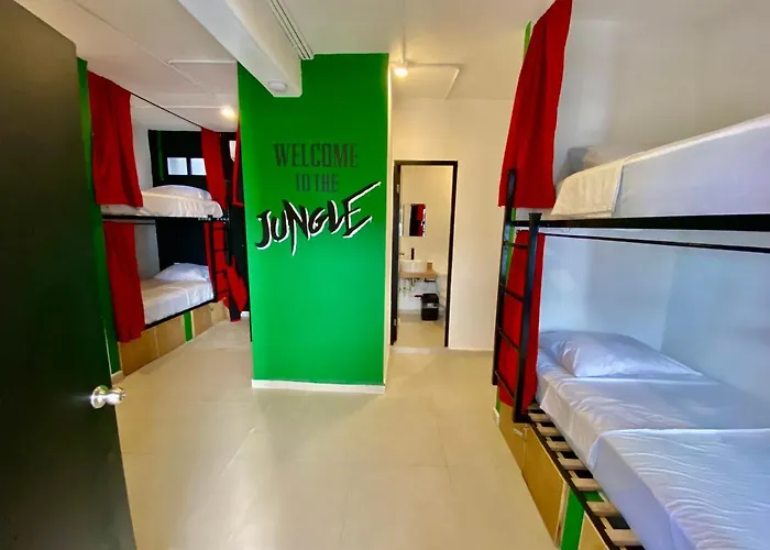 Hostel Why Not Rooftop Party